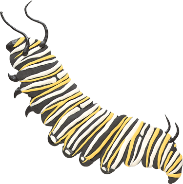 A monarch caterpillar.