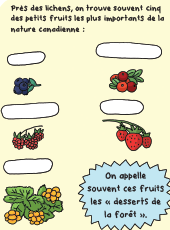 Nutshimit : Un bain de forêt - Feuille d'activité - Les fruits