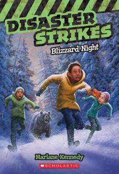 Blizzard Night (Disaster Strikes #3)