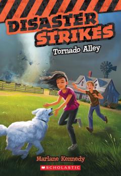 Tornado Alley (Disaster Strikes #2)