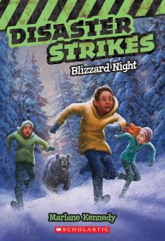 Blizzard Night (Disaster Strikes #3)