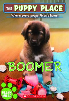 Boomer (The Puppy Place #37)