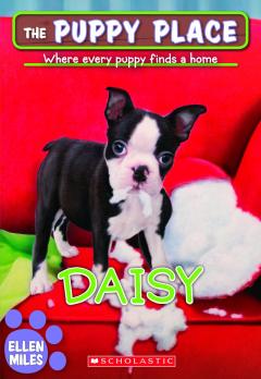 Daisy (The Puppy Place #38)