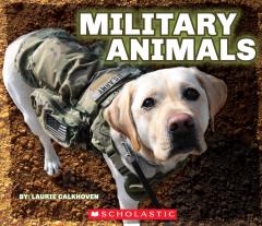 Military Animals (with dog tags)