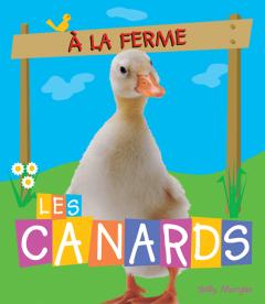 À la ferme : Les canards