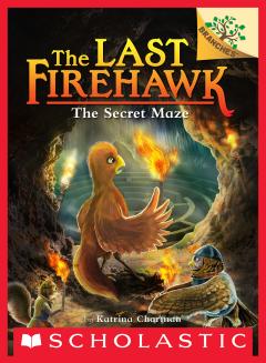The Secret Maze: A Branches Book (The Last Firehawk #10)