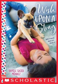 Wish Upon a Stray: A Wish Novel