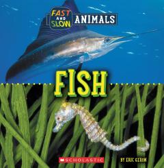 Fish (Wild World: Fast and Slow Animals)