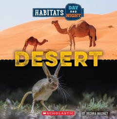 Desert (Wild World: Habitats Day and Night)