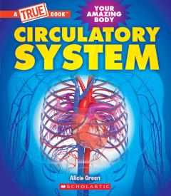 Circulatory System (A True Book: Your Amazing Body)