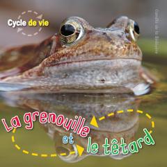 Cycle de vie : La grenouille et le têtard