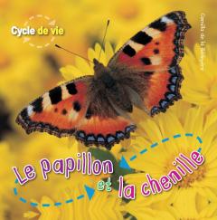 Cycle de vie : Le papillion et la chenille