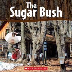 The Sugar Bush