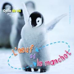 Cycle de vie : L'oeuf et le manchot