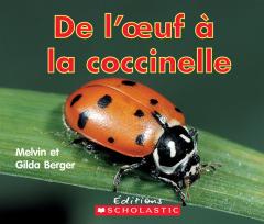 Lire et découvrir : De l'oeuf à la coccinelle