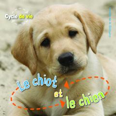 Cycle de vie : Le chiot et le chien