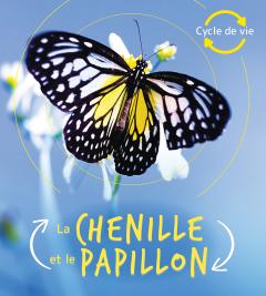 Cycle de vie : La chenille et le papillon