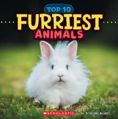 Furriest Animals (Wild World: Top 10)