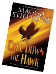 Call Down the Hawk book cover