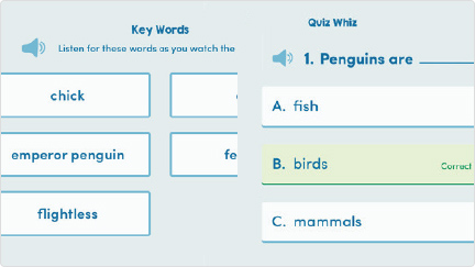 Example of a quiz on penguins and a list of key words to look out for.